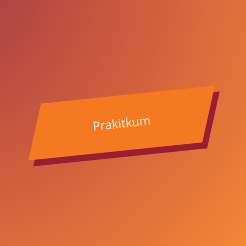 Praktikum